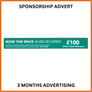 Webdeli Local 3 Months Sponsorship Advertisement